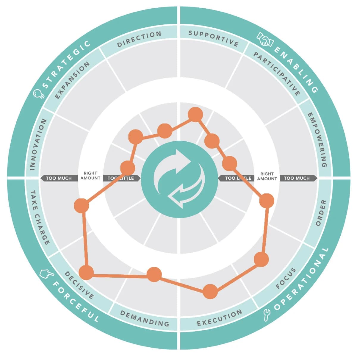 A sample LVI circumplex report plotting a leader’s behaviour against the forceful, enabling, strategic and operational quadrants.
