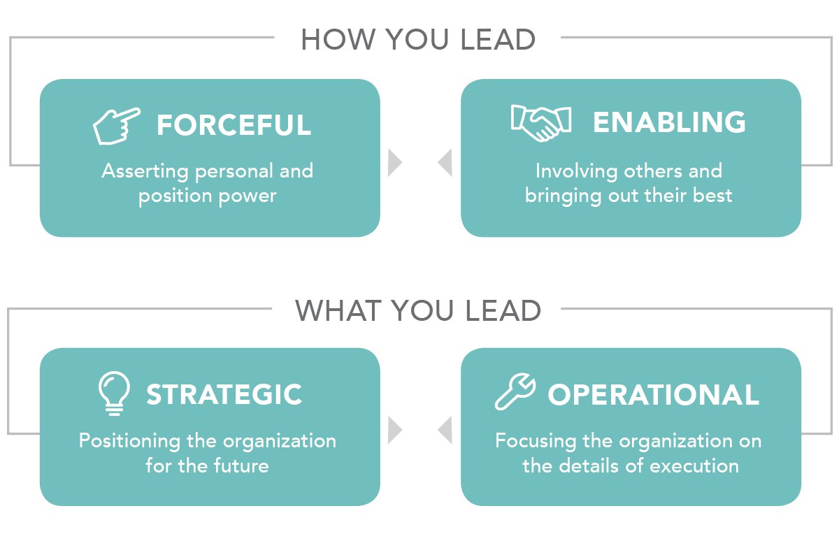 The LVI leadership framework: Forceful and Enabling under How You Lead; Strategic and Operational under What You Lead.